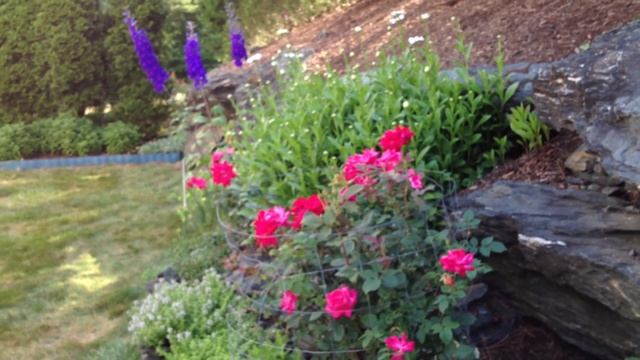 Садик 1 - 2 июля 2014 - Ашленд смотреть онлайн