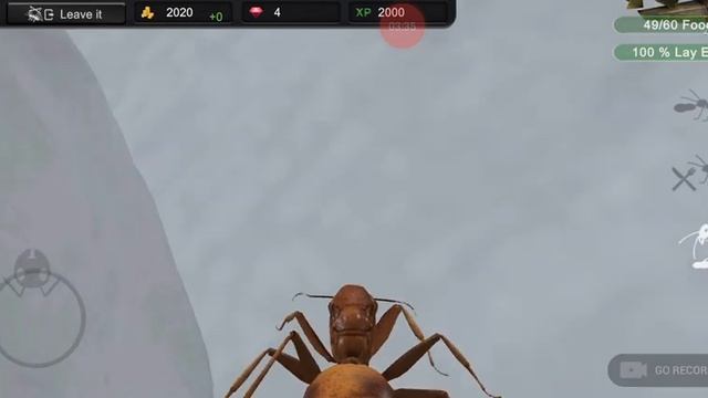 ant sim tycoon 1 solepsis geminata смотреть онлайн