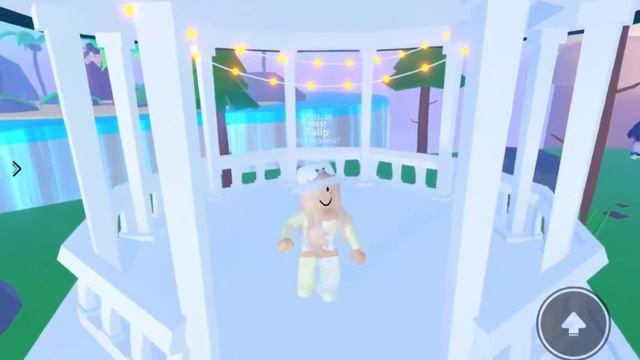 Picture Time! смотреть онлайн