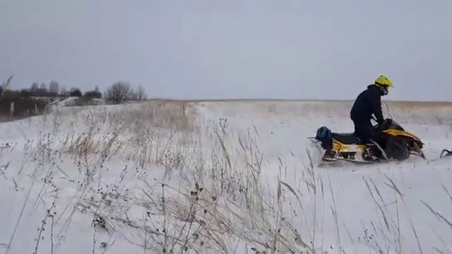 Тикси 250 смотреть онлайн