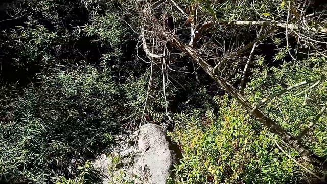 BARANCO 7 смотреть онлайн