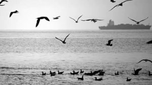 кумыкская песня: Анам