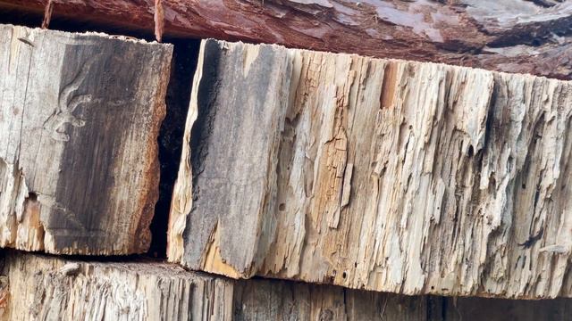 Billy's MONSTER log beehive смотреть онлайн