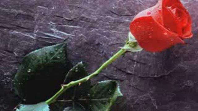 buenos dias amor - jose jose смотреть онлайн