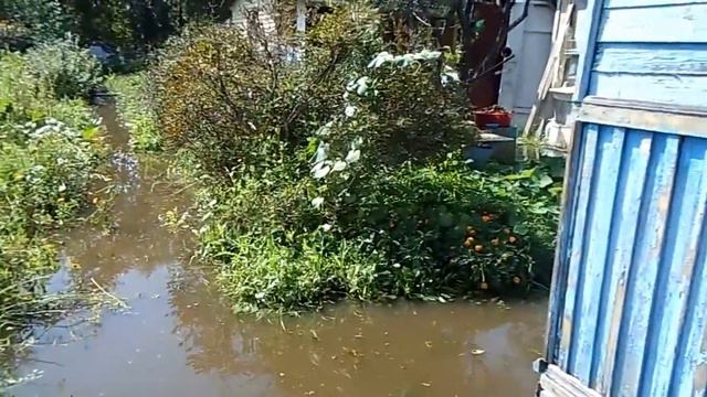 Паводки в Хабаровске... смотреть онлайн