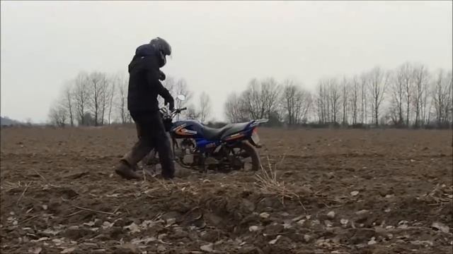 Live SFR #4 Краш тест ALFЫ смотреть онлайн