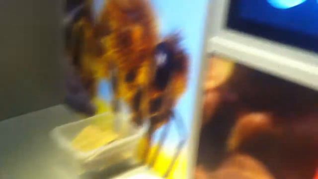 13.02.18 Музей крутая игра смотреть онлайн