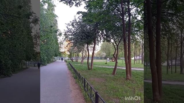 Прекрасная природа на Ситцевой и Планерной улицах (СПб)!??? смотреть онлайн