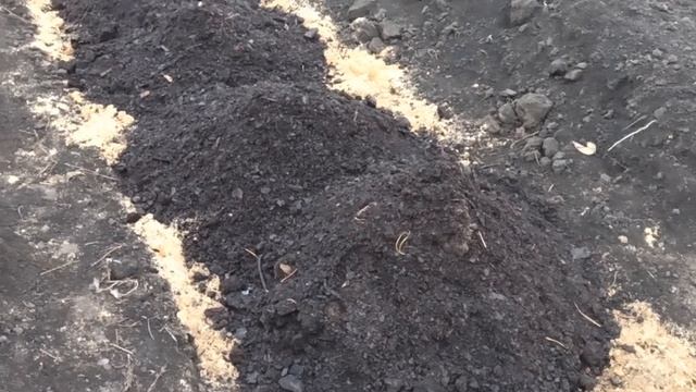 Траншея под голубику. Следующий этап. смотреть онлайн