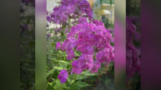 Песня «Земля моя…» смотреть онлайн