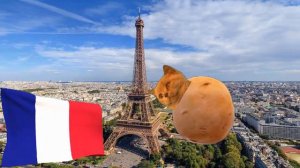 кошка картошка, но на французском языке