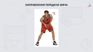 Ловля и передача мяча в парах на месте, в движении. Ведение мяча