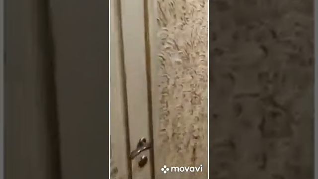 Сдаётся дом под ключ в Красной Поляне смотреть онлайн