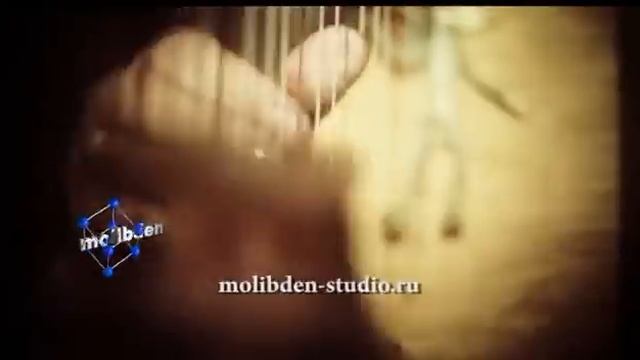 Alizbar Celtic harp-/Alex Samodum / relax music /Кельтская арфа/ Out of time fairy- tale /Medieval смотреть онлайн