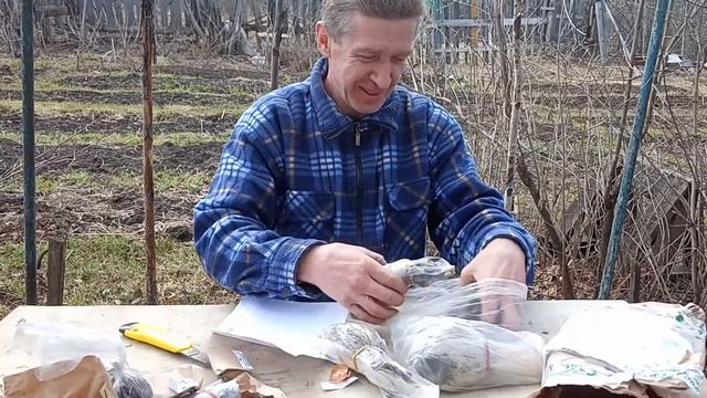 Распаковка посылки с фирмы "Сады Урала" смотреть онлайн