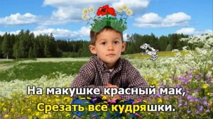 Отчего на голове не растут цветочки