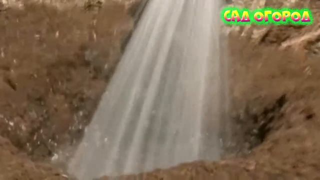 Посадка кабачков в высокие грядки смотреть онлайн