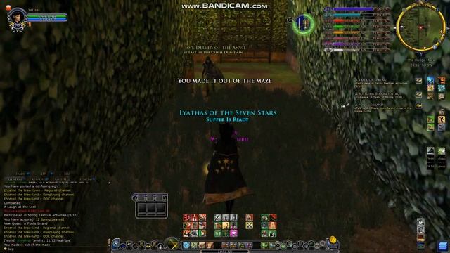 Lotro - Spring Festival - Hedge Maze - A Fool's Errand смотреть онлайн