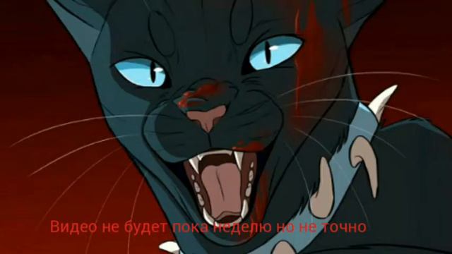 Видео не будет неделю но не точно неделю смотреть онлайн