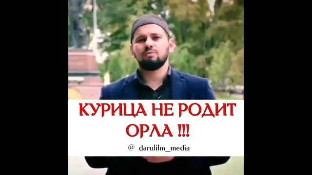 Курица не родит ОРЛА смотреть онлайн