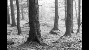 Плейлист Электрофорез