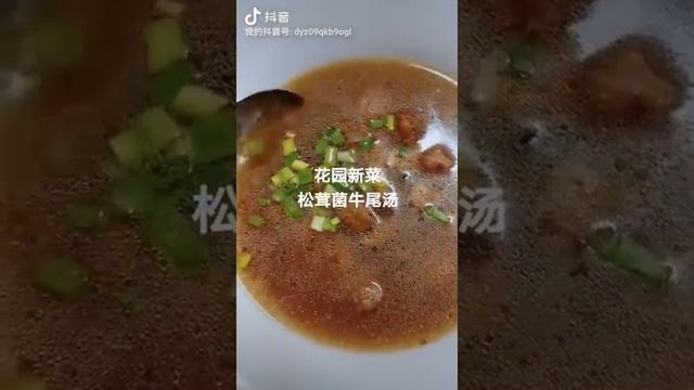 华沙 上海花园 牛尾汤 Oxtail Soup