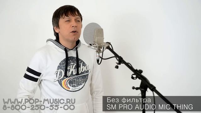 Изоляционная панель SM PRO AUDIO MIC THING смотреть онлайн
