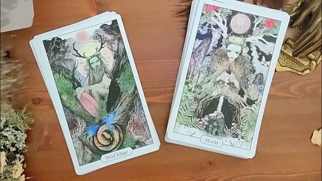 3 Must Have Witchy Oracle Decks ?Magic, Pathworking and Altar Workings смотреть онлайн