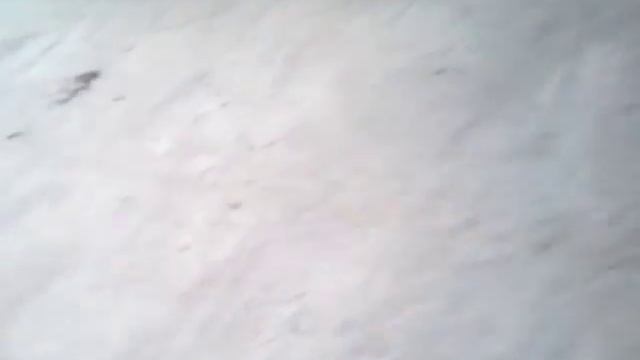 ЗиД-Сова 200 смотреть онлайн