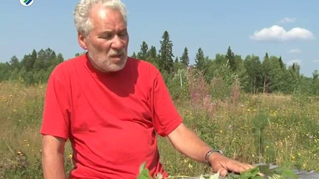 Коми смотреть онлайн