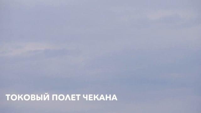 Велопоход на Нарские пруды за птицами смотреть онлайн