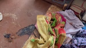 Удалить запах озонатором после трупа