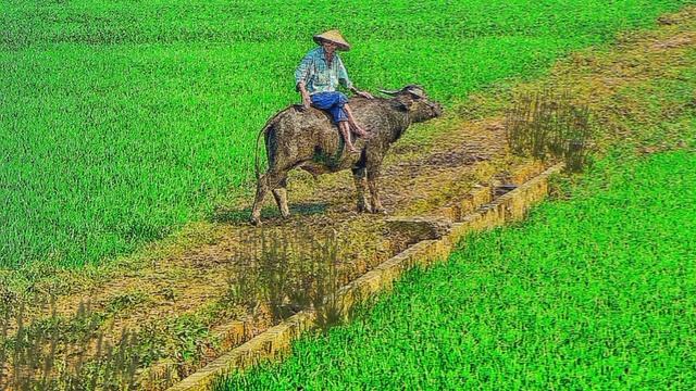 Sundanese?? West Java Indonesian relaxing music ????? смотреть онлайн