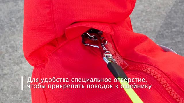 Ричи и Барни на прогулке смотреть онлайн