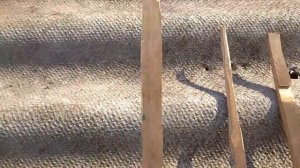 Самый крутой спусковой механизм на ловушку на фазана