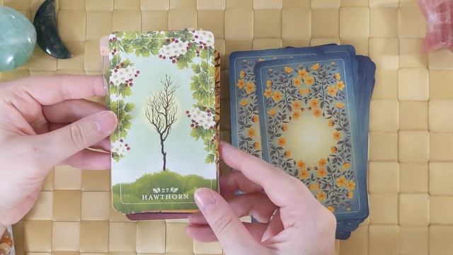 The Seed & Sickle Oracle Deck by Fez Inkwright ?Dawn and Dusk Oracle Deck Unboxing and Reading смотреть онлайн