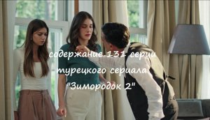 Содержание 131 серии турецкого сериала «Зимородок 2» (РФ, 2023)