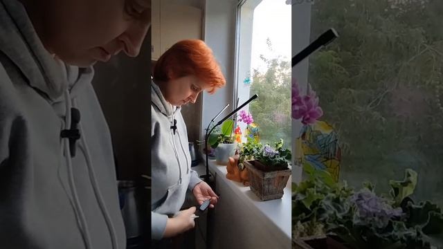 Обзор фито лампы с Озона. #фитолампа #лампадляцветов #подсветка #рассадаклубники #фитолампы смотреть онлайн