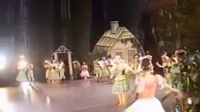 Ballet do Theatro Municipal do Rio de Janeiro смотреть онлайн
