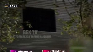 Qashqirlar Makoni PISTIRMA 290-Qism | O'zbek tilida | 6 FASL