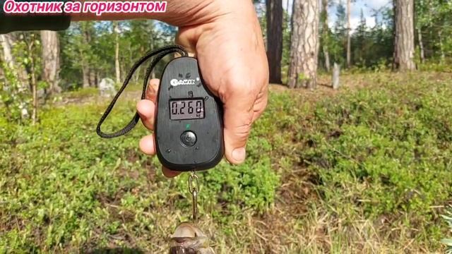 Сортым сегодня.Финиш. смотреть онлайн