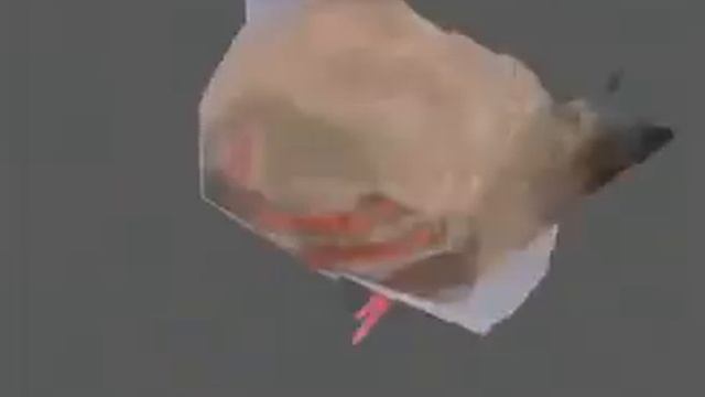 Птица флексит смотреть онлайн