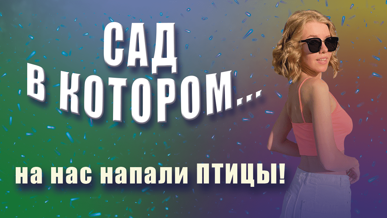 Сад для медитации. Нападение птиц смотреть онлайн