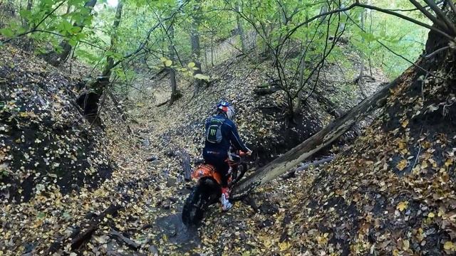 Энудро в осеннем лесу, ущелье. GR7 2t, KTM EXC смотреть онлайн