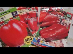 ЛУЧШИЕ  СОРТА  СЛАДКИХ ПЕРЦЕВ ДЛЯ ОТКРЫТОГО ГРУНТА  В  СИБИРИ . ЛУЧШИЕ  СОРТА СЛАДКИХ ПЕРЦЕВ .