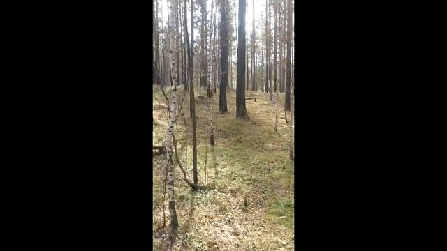 Земельные участки, Даурская смотреть онлайн