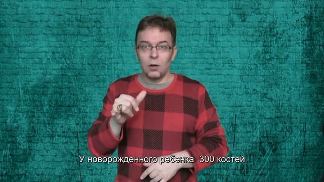 Сколько костей у человека? смотреть онлайн
