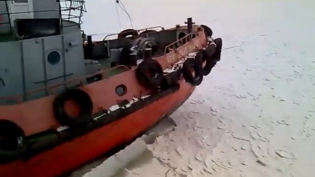 Ласточка зима смотреть онлайн