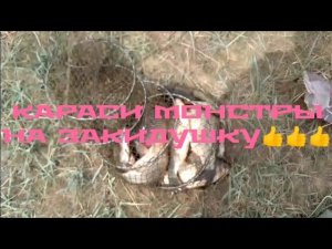 рыбалка на реке чулым (Новосибирская область), отличная рыбалка получилась, на закидушки