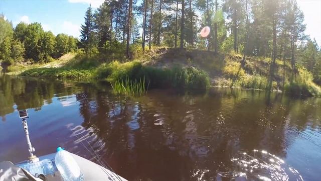 ОН УДАРИЛ ТАК, что чуть не вырвал спиннинг!!! ХОЗЯИН ЛЕСНОЙ РЕКИ. Рыбалка сплавом с ночёвкой смотреть онлайн